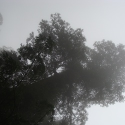 2010-10 China/Taiwan/2010:10:08-08:57:08_DSC04361.JPG